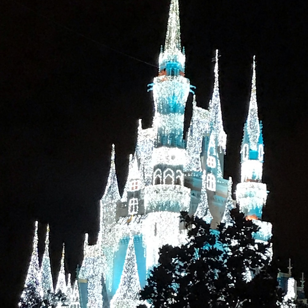 Meet your Posher, Joy